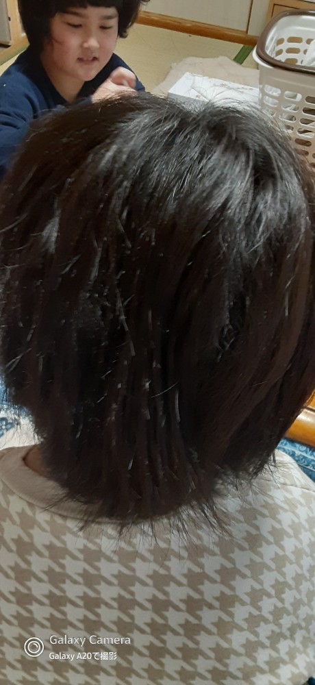 レビュー画像1