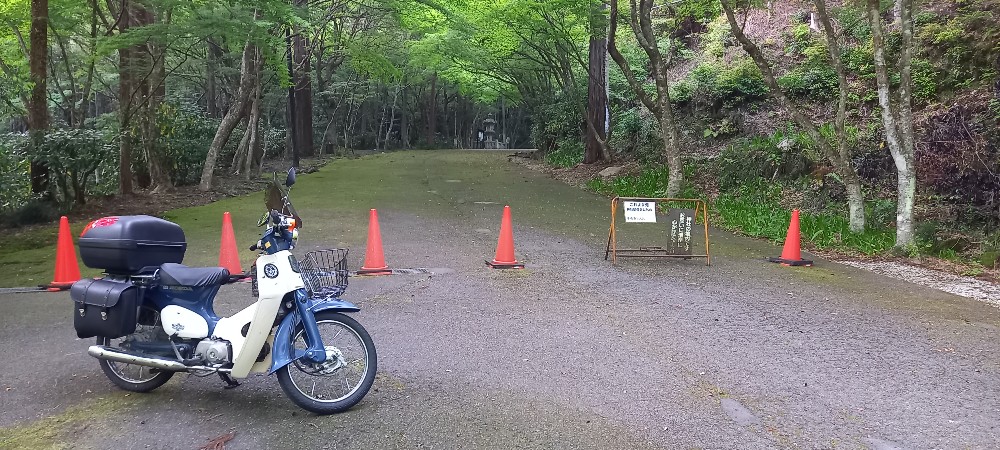 レビュー画像2