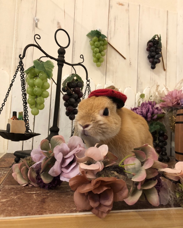 レビュー画像3