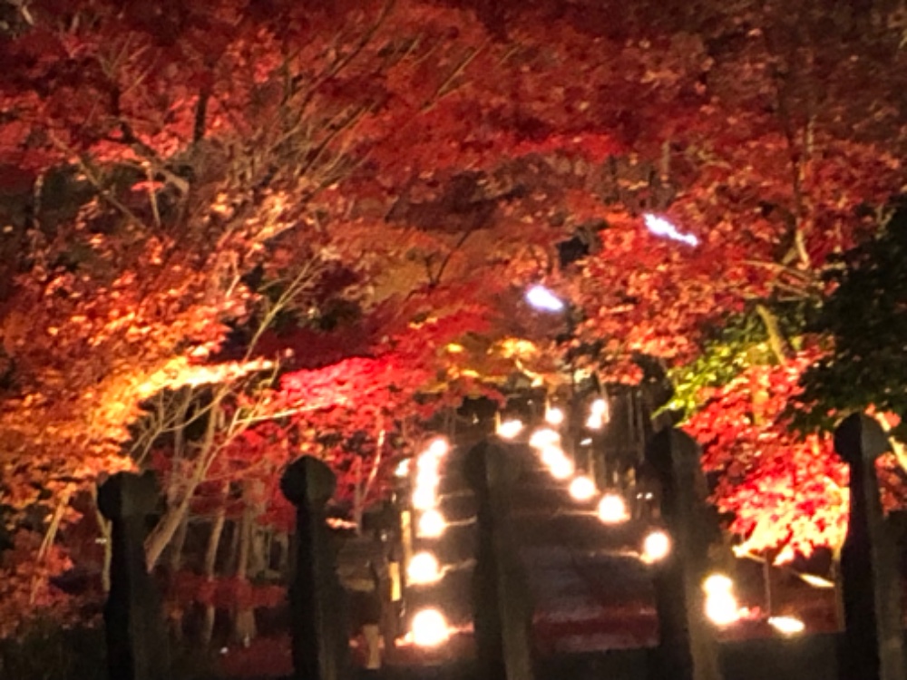 レビュー画像1