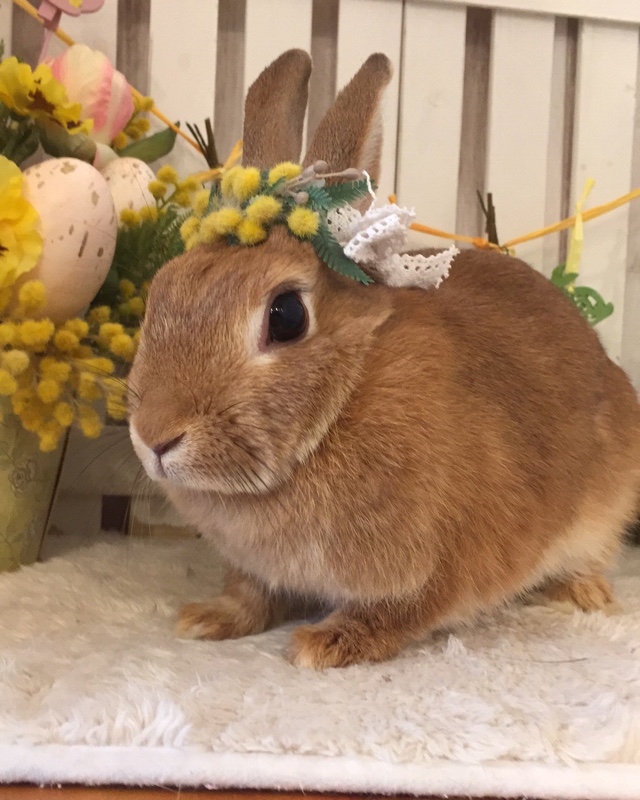 キャンディさんのレビュー画像
