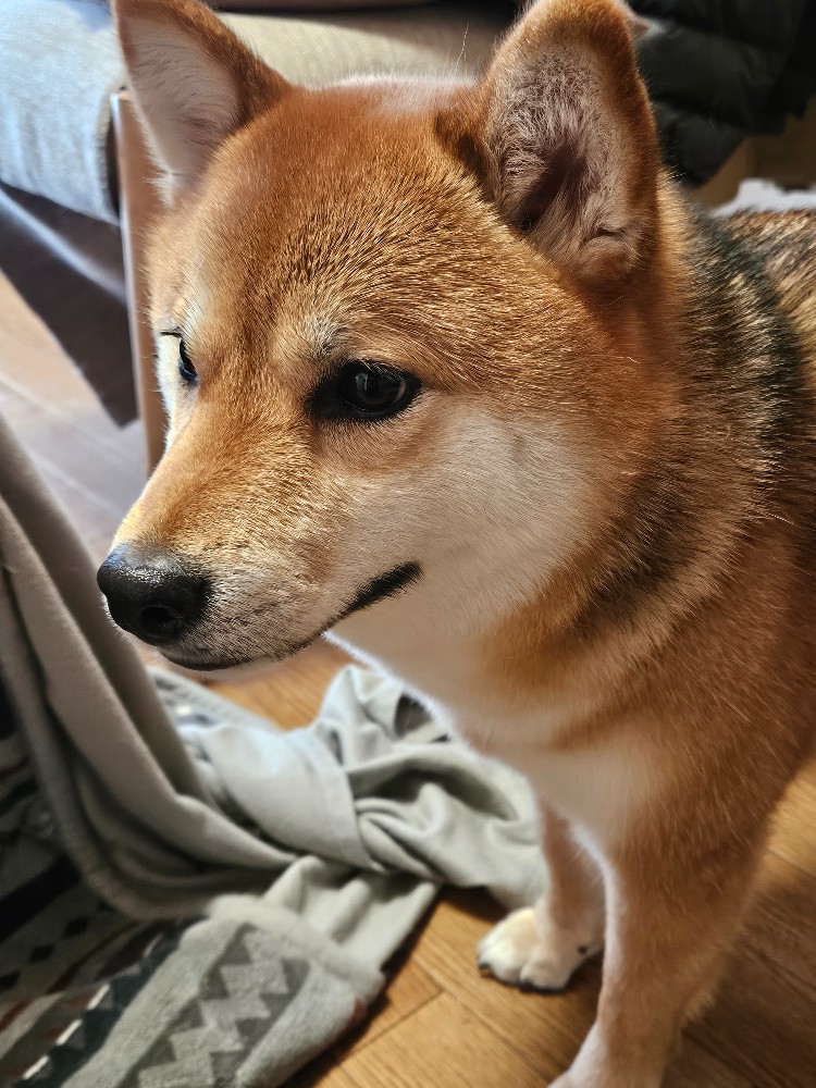 レビュー画像1