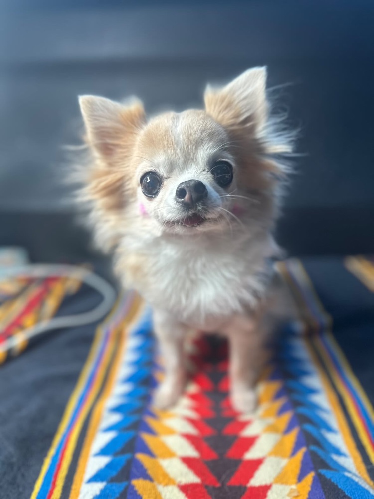 ユリアママさんのレビュー画像