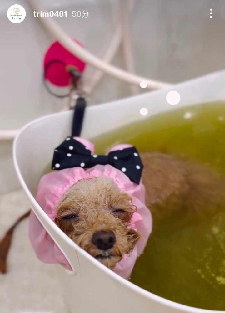 レビュー画像2