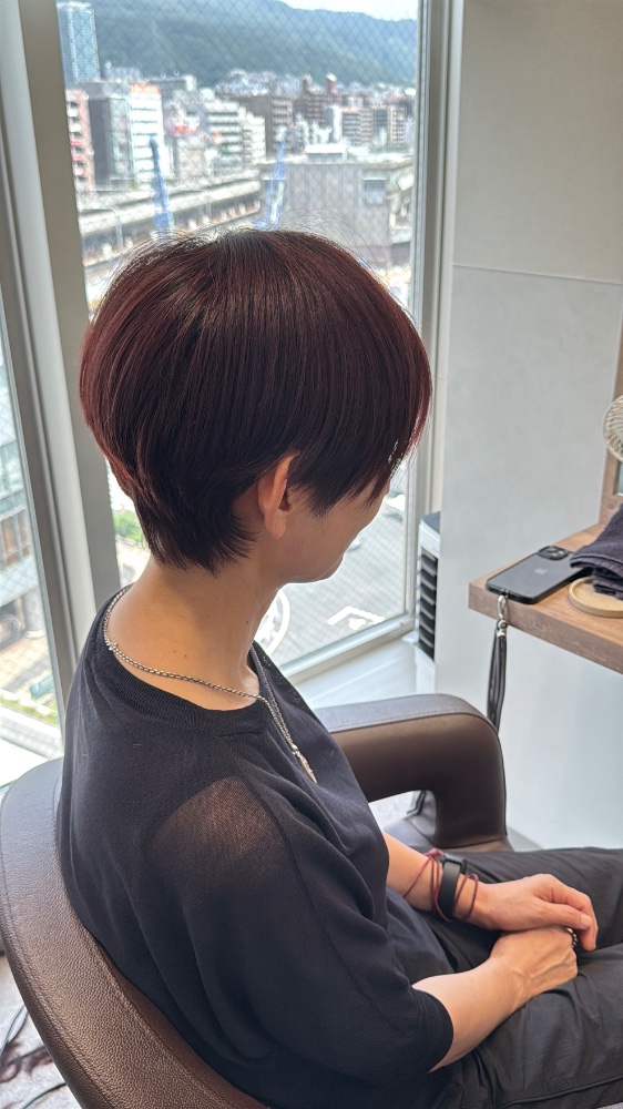 おじぎさんのレビュー画像