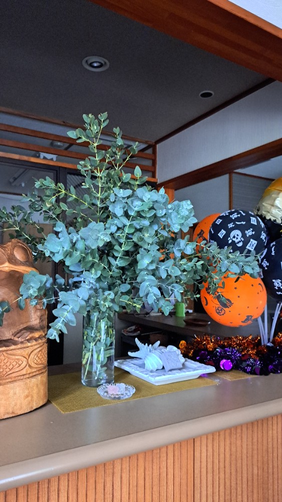 田中　惠子さんのレビュー画像