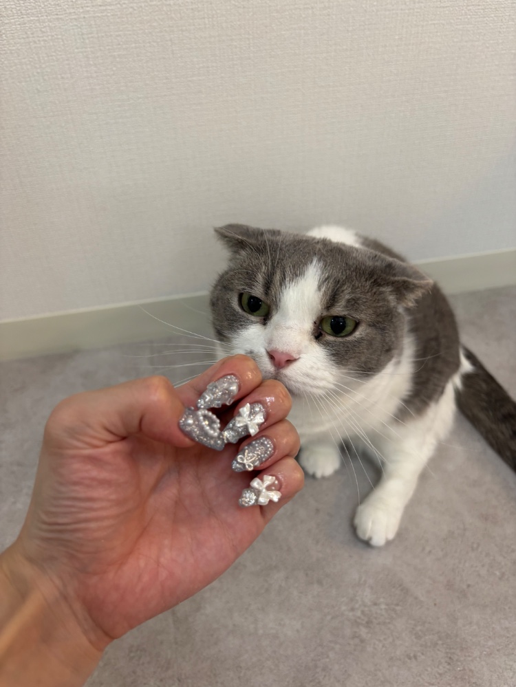 YUKAさんのレビュー画像