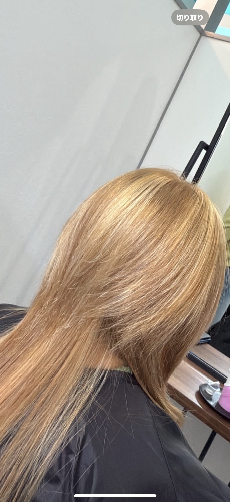 ＳＳさんのレビュー画像