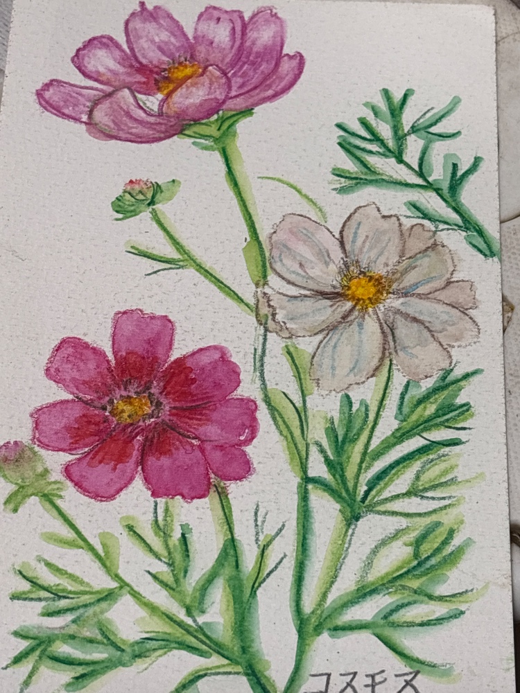 横尾　優枝さんのレビュー画像