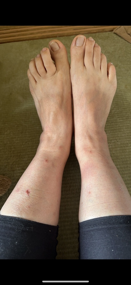 きよりんさんのレビュー画像