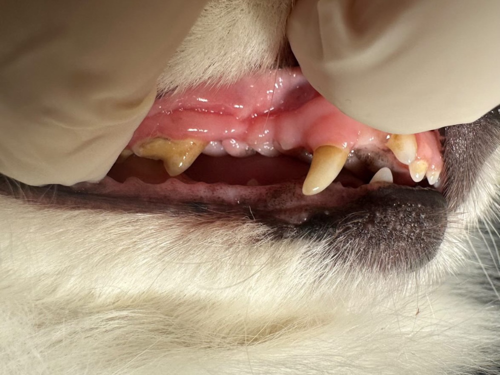 菱田直子さんのレビュー画像