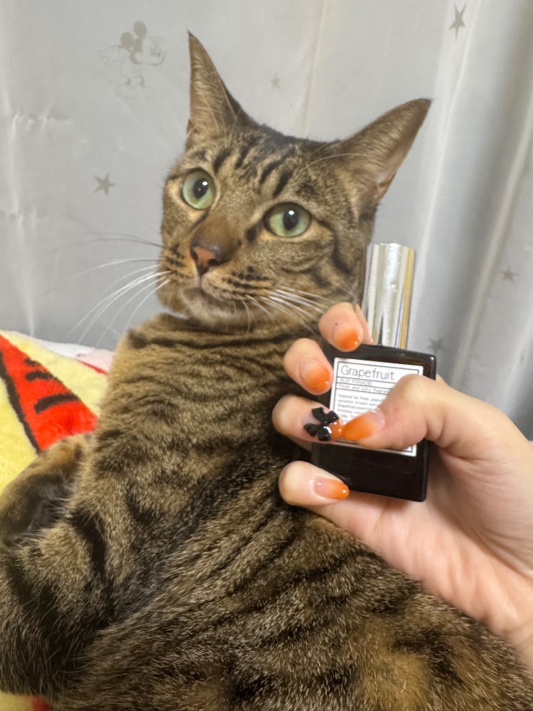 はるこさんのレビュー画像