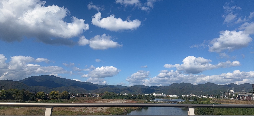 ボマーさんのレビュー画像