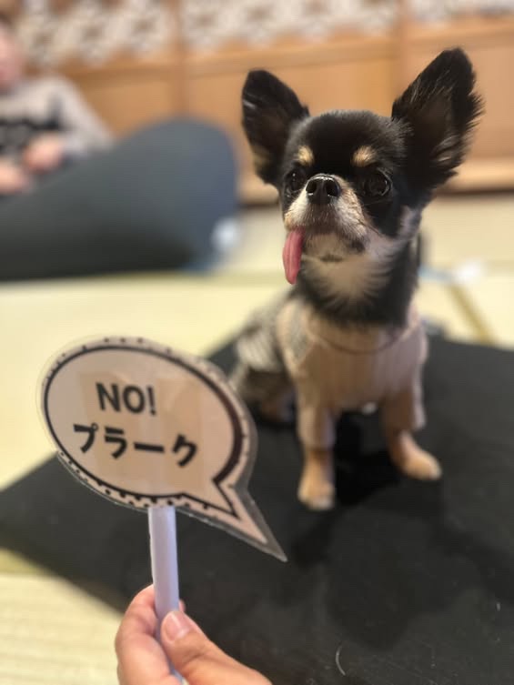 池本奈緒美さんのレビュー画像