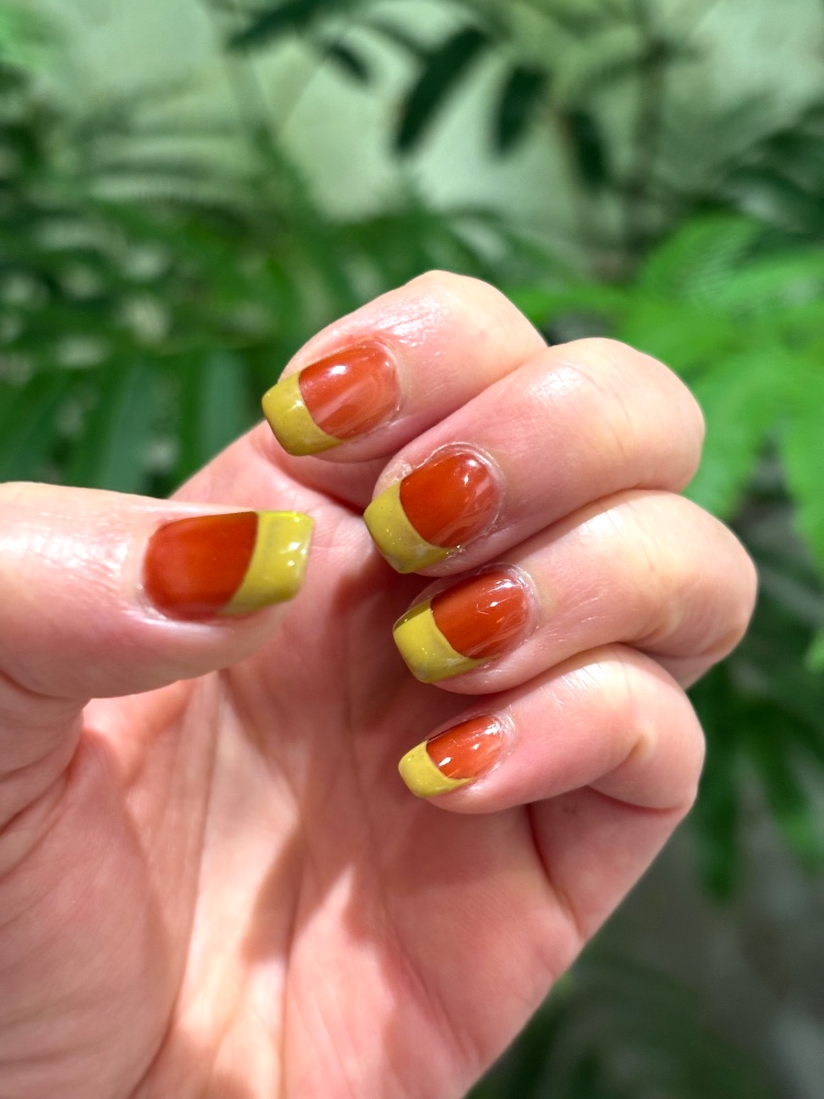 キョンさんのレビュー画像