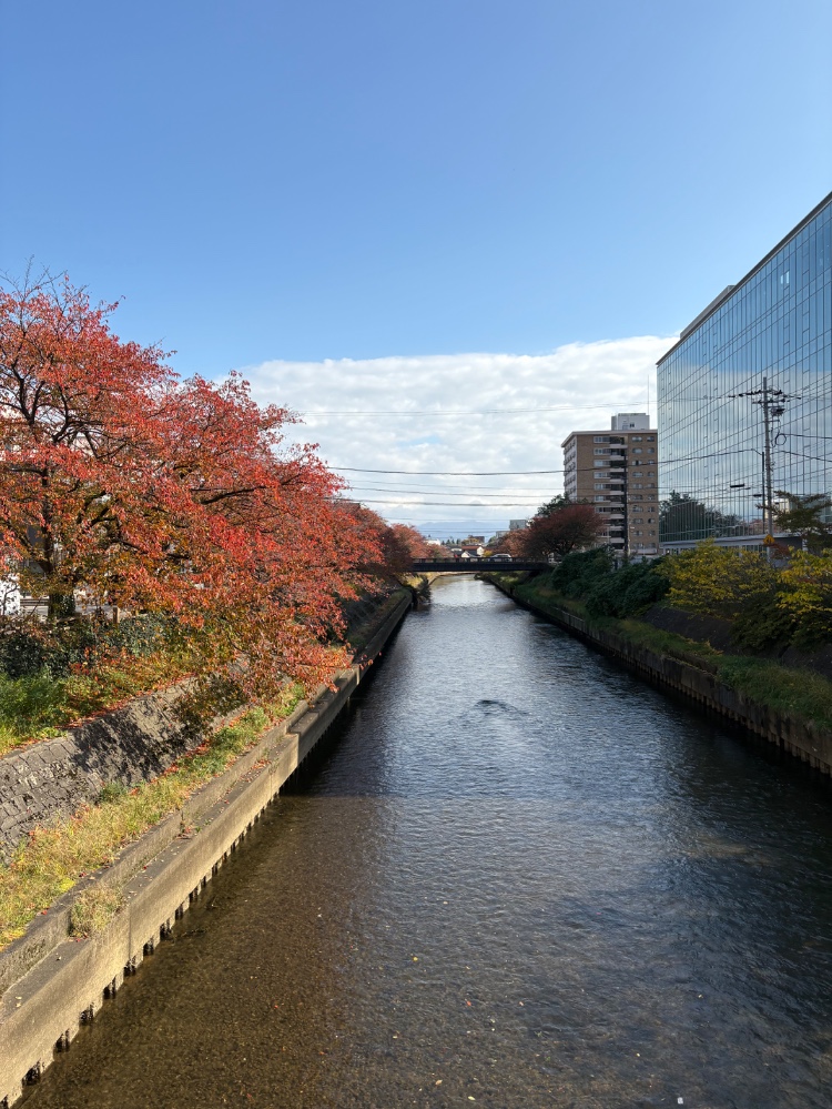 haruさんのレビュー画像