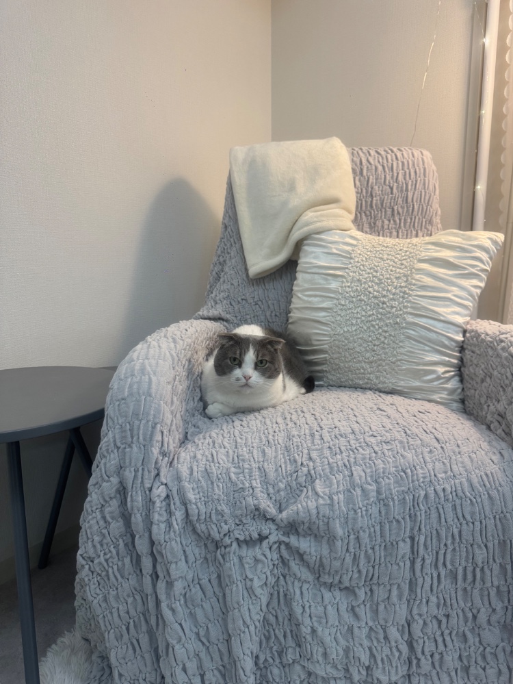 まにゃさんのレビュー画像