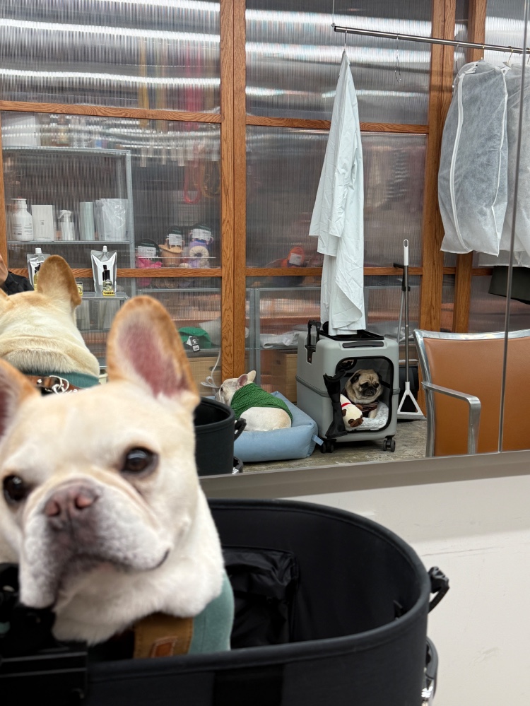 時子とチーズさんのレビュー画像