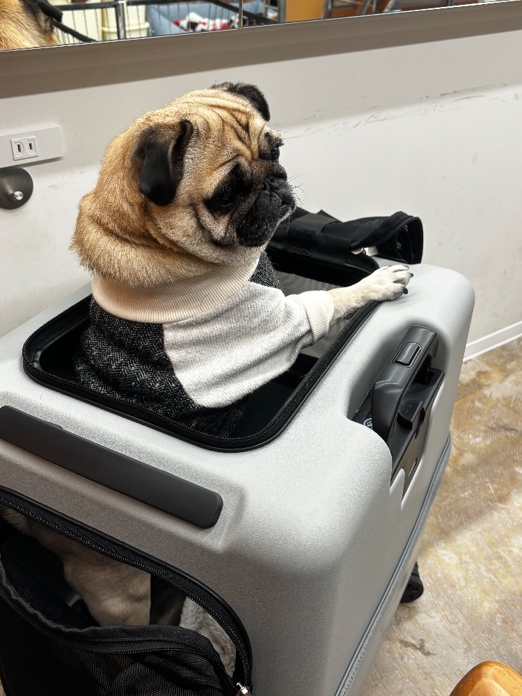 おかみママ🦴さんのレビュー画像