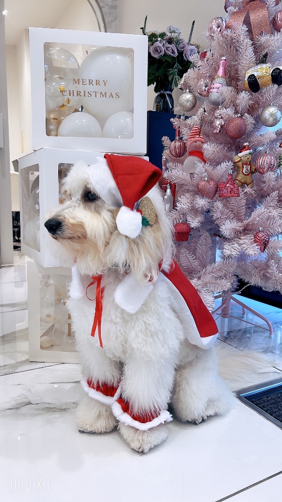 結城　悦子さんのレビュー画像