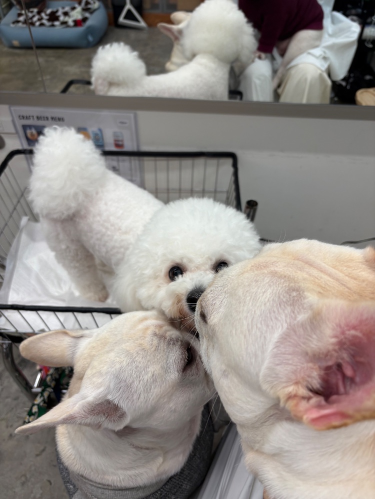 KIM KAYOUNさんのレビュー画像