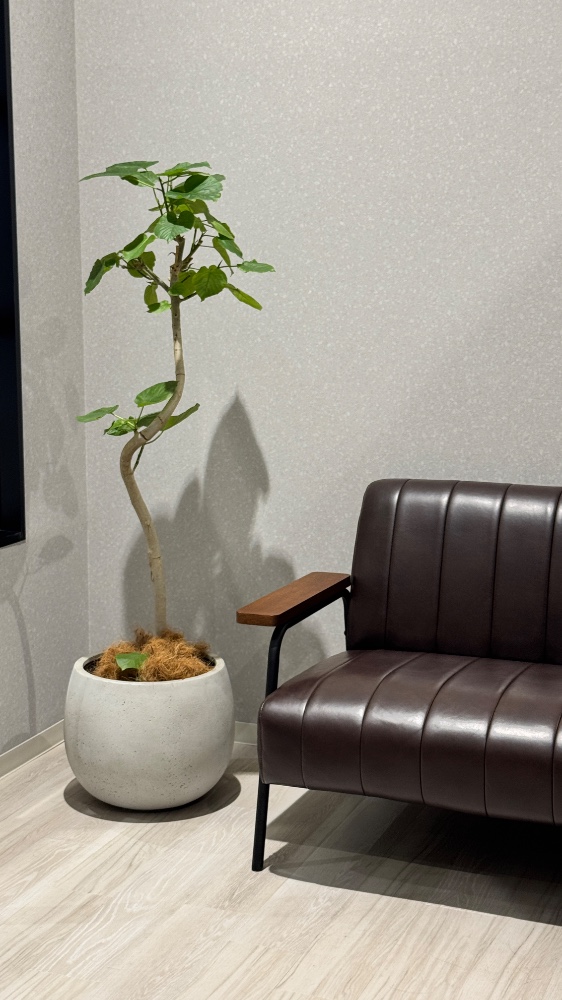 帶刀諒介さんのレビュー画像