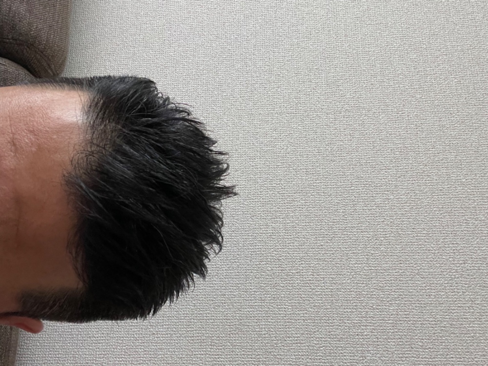 レビュー画像2