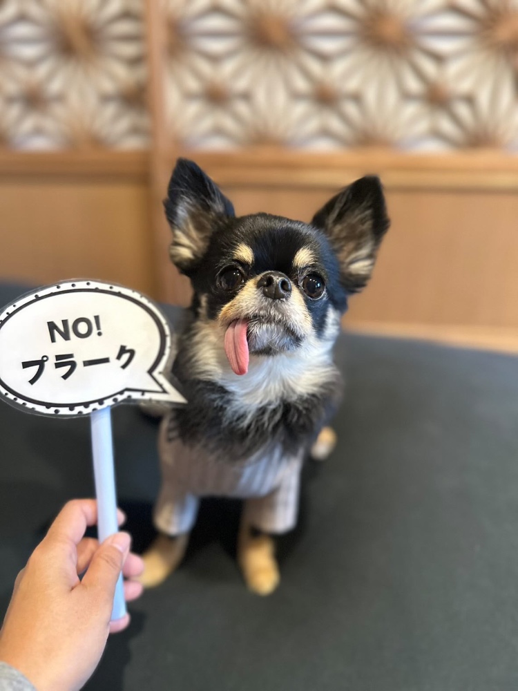 らおんママさんのレビュー画像