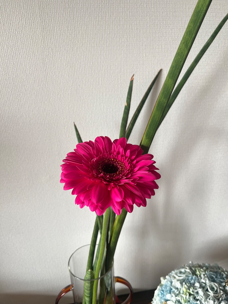 竹内和子さんのレビュー画像