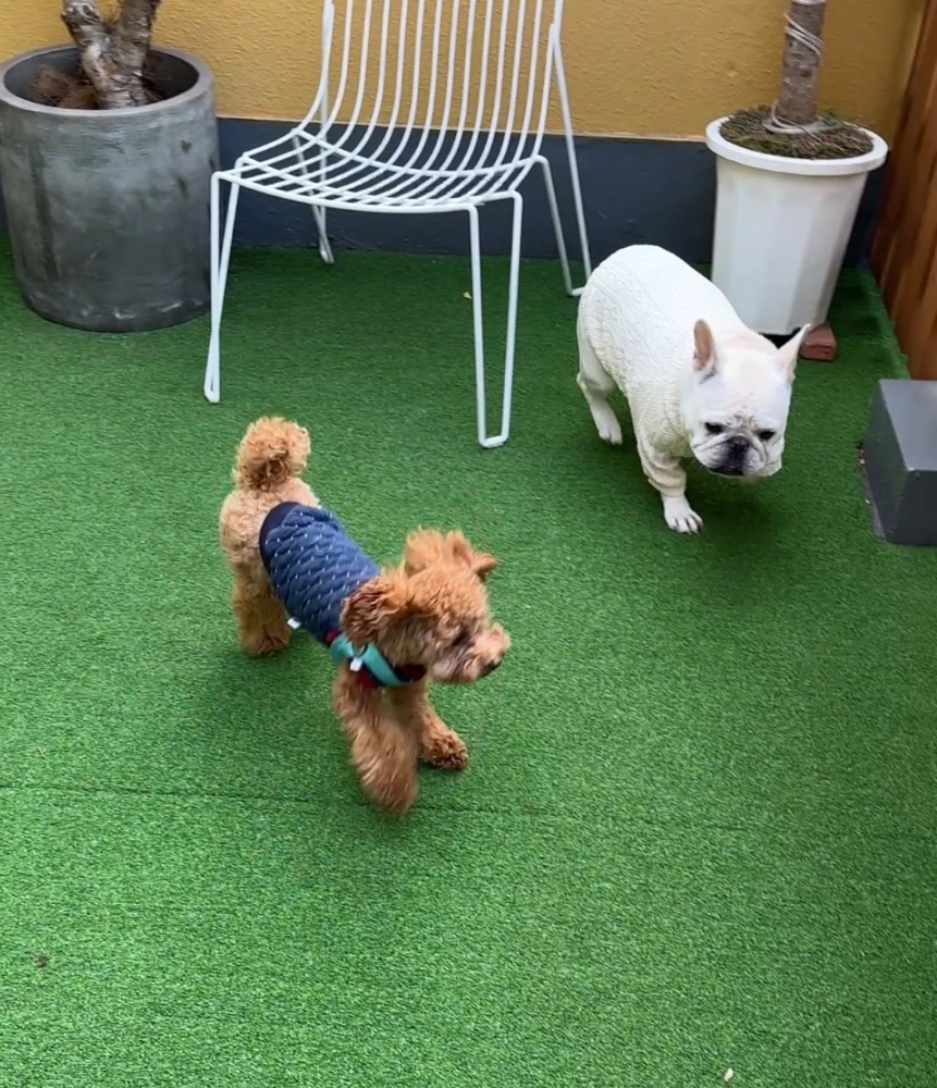 まこさんのレビュー画像