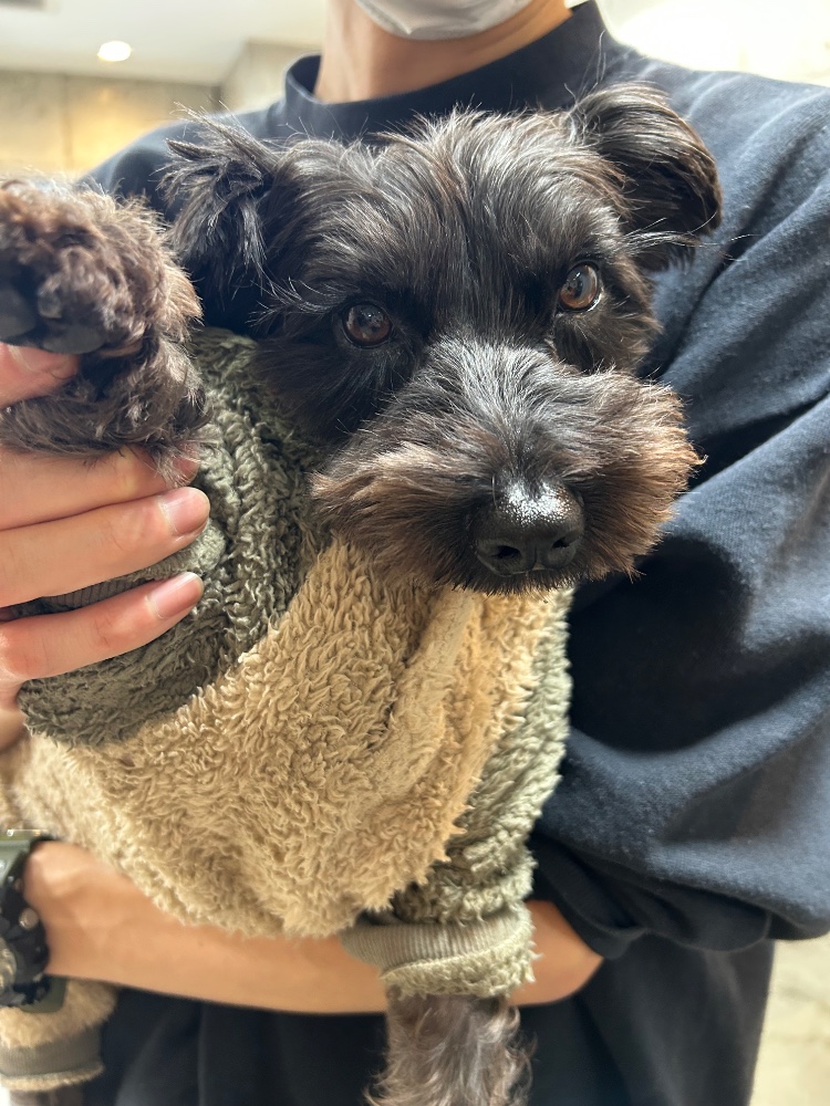 渡邉優希子さんのレビュー画像