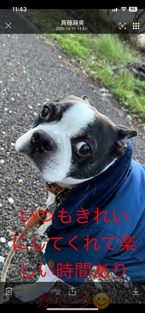 斉藤麻美さんのレビュー画像