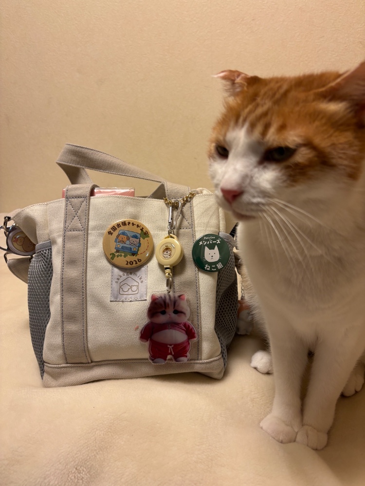 吉田 佳恵さんのレビュー画像