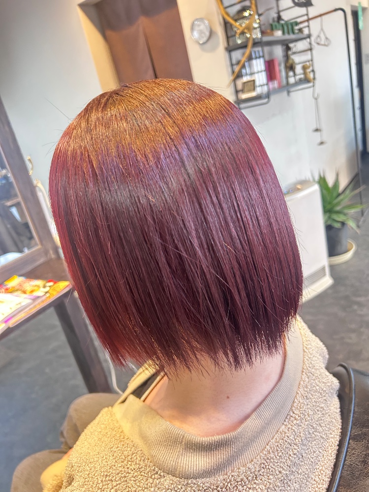 須藤ひかるさんのレビュー画像