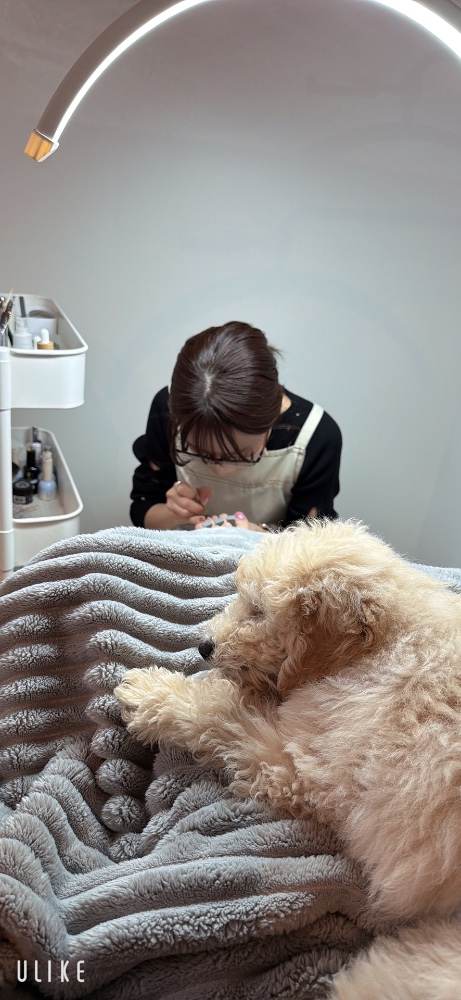 結城　悦子さんのレビュー画像