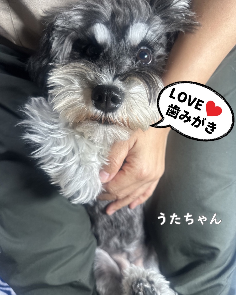 谷川　理恵さんのレビュー画像