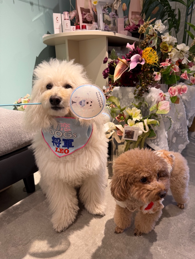 結城　悦子さんのレビュー画像