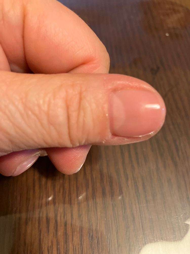 大芝　富美子さんのレビュー画像