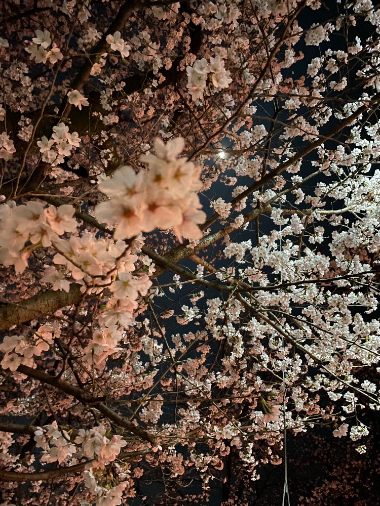 関根直美さんのレビュー画像