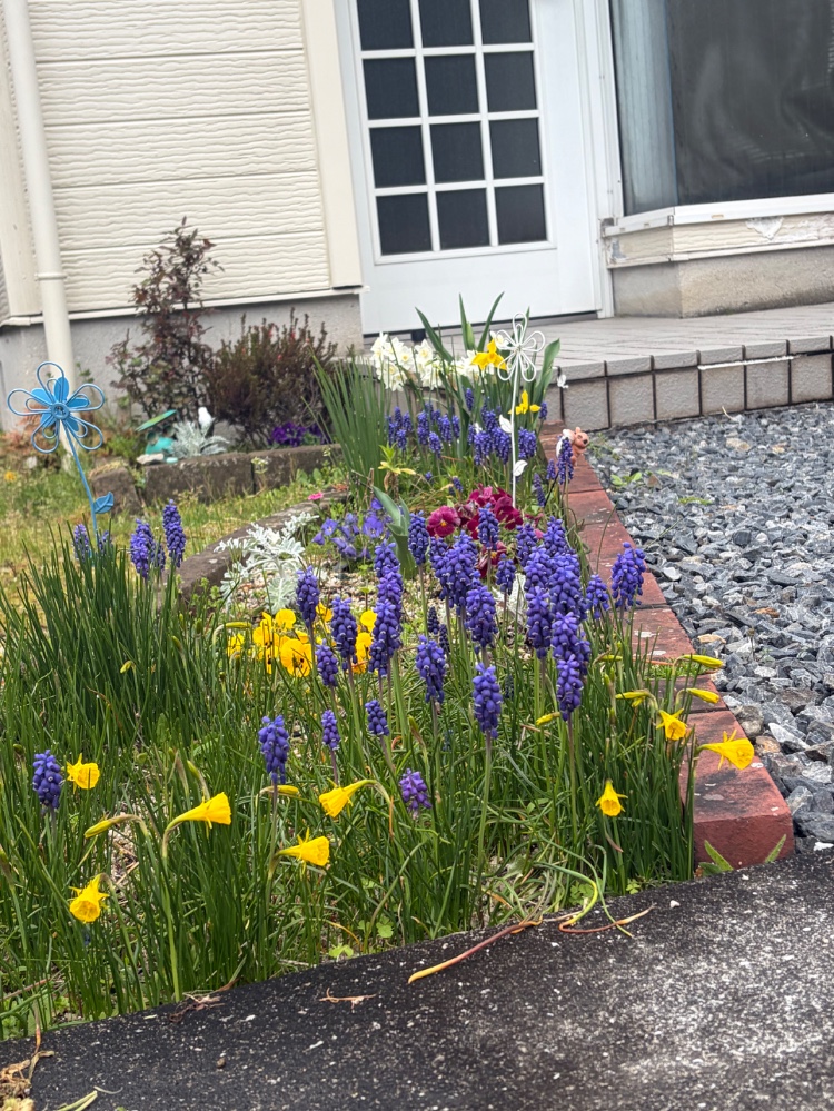 杉山瑞枝さんのレビュー画像