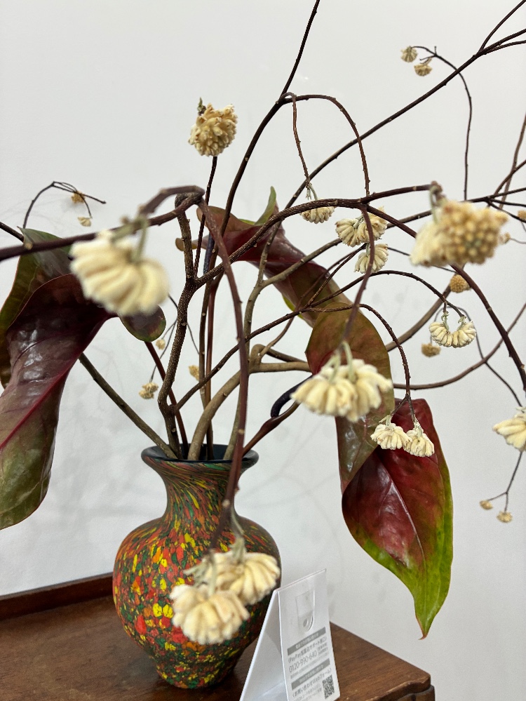 堀口彩さんのレビュー画像