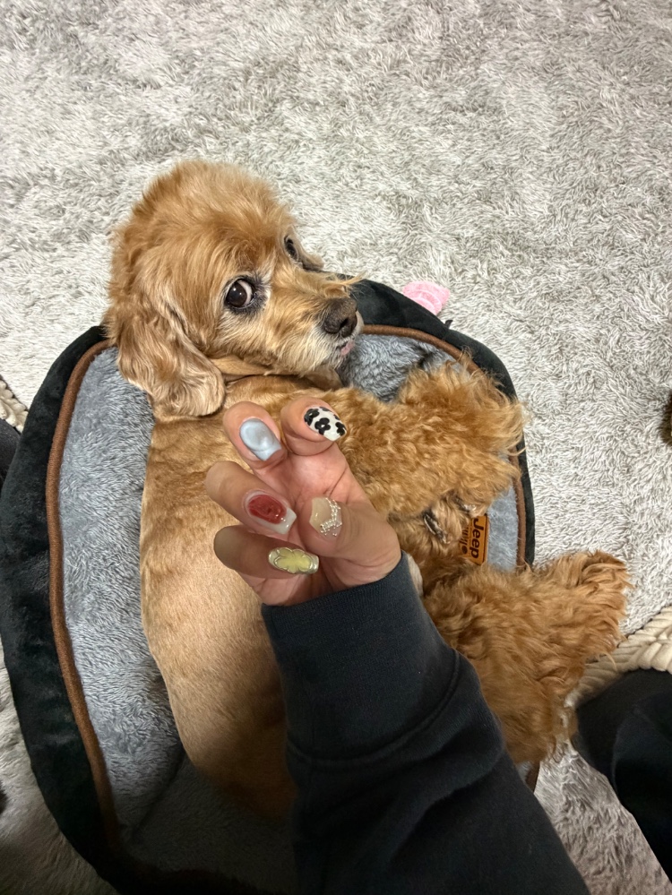 おーたさんのレビュー画像