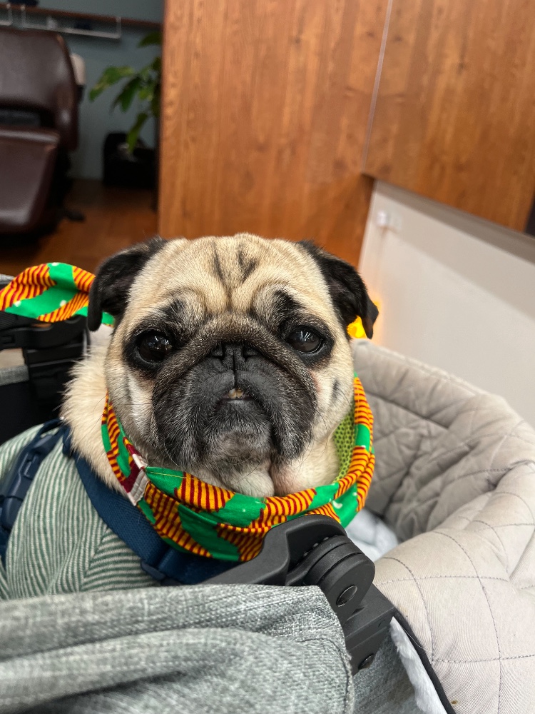 たけださんのレビュー画像