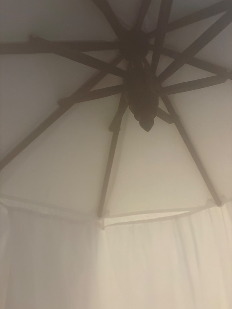 佐藤沙也香さんのレビュー画像