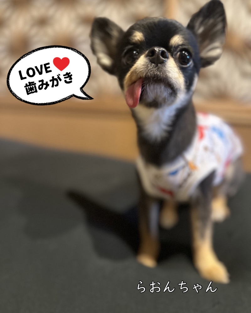 らおんママさんのレビュー画像
