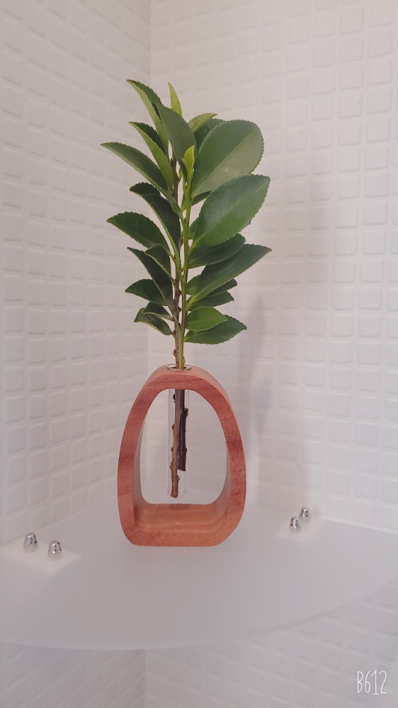 なみさんのレビュー画像