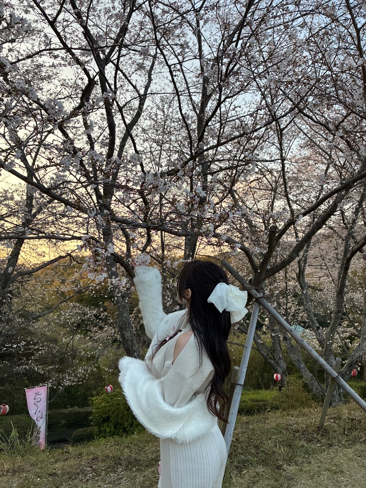 さちゃんさんのレビュー画像