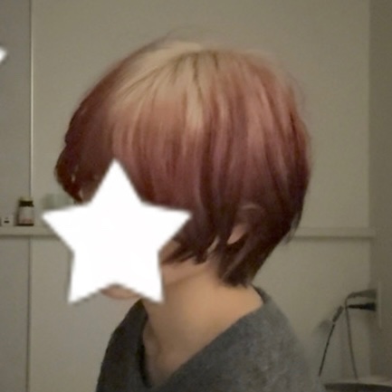 レビュー画像2