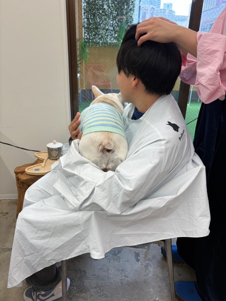 レビュー画像1