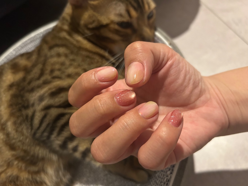 レビュー画像3